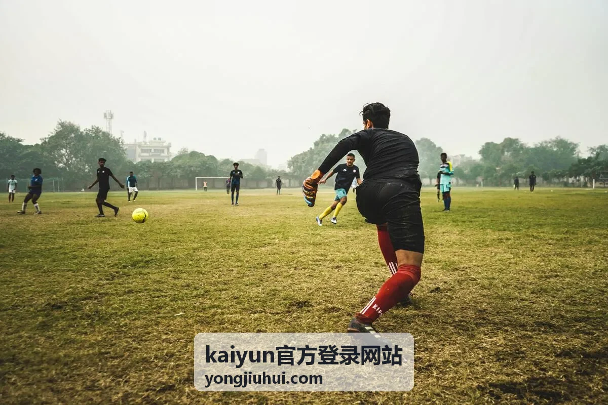 kaiyun官方登录网站客户端使用帮助界面