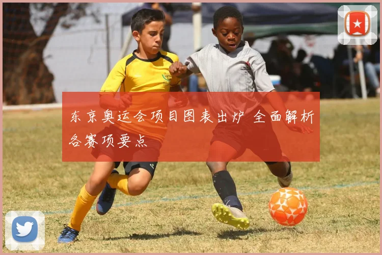 东京奥运会项目图表出炉 全面解析各赛项要点