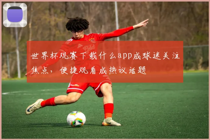 世界杯观赛下载什么app成球迷关注焦点，便捷观看成热议话题