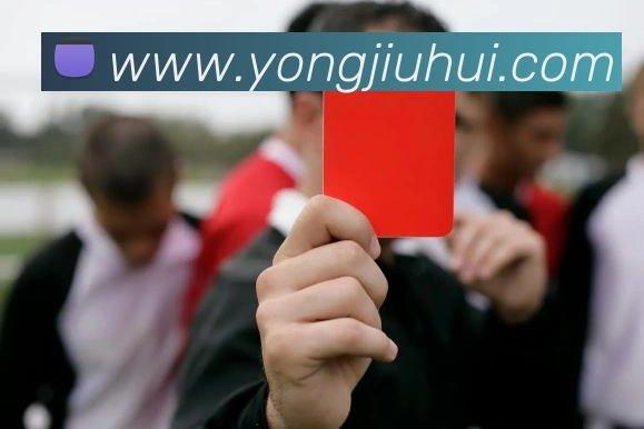 kaiyun入口品牌故事