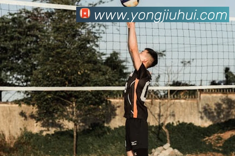 kaiyun入口服务体系